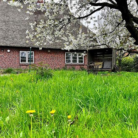 Elbkoje Apartman Drage  Kültér fotó